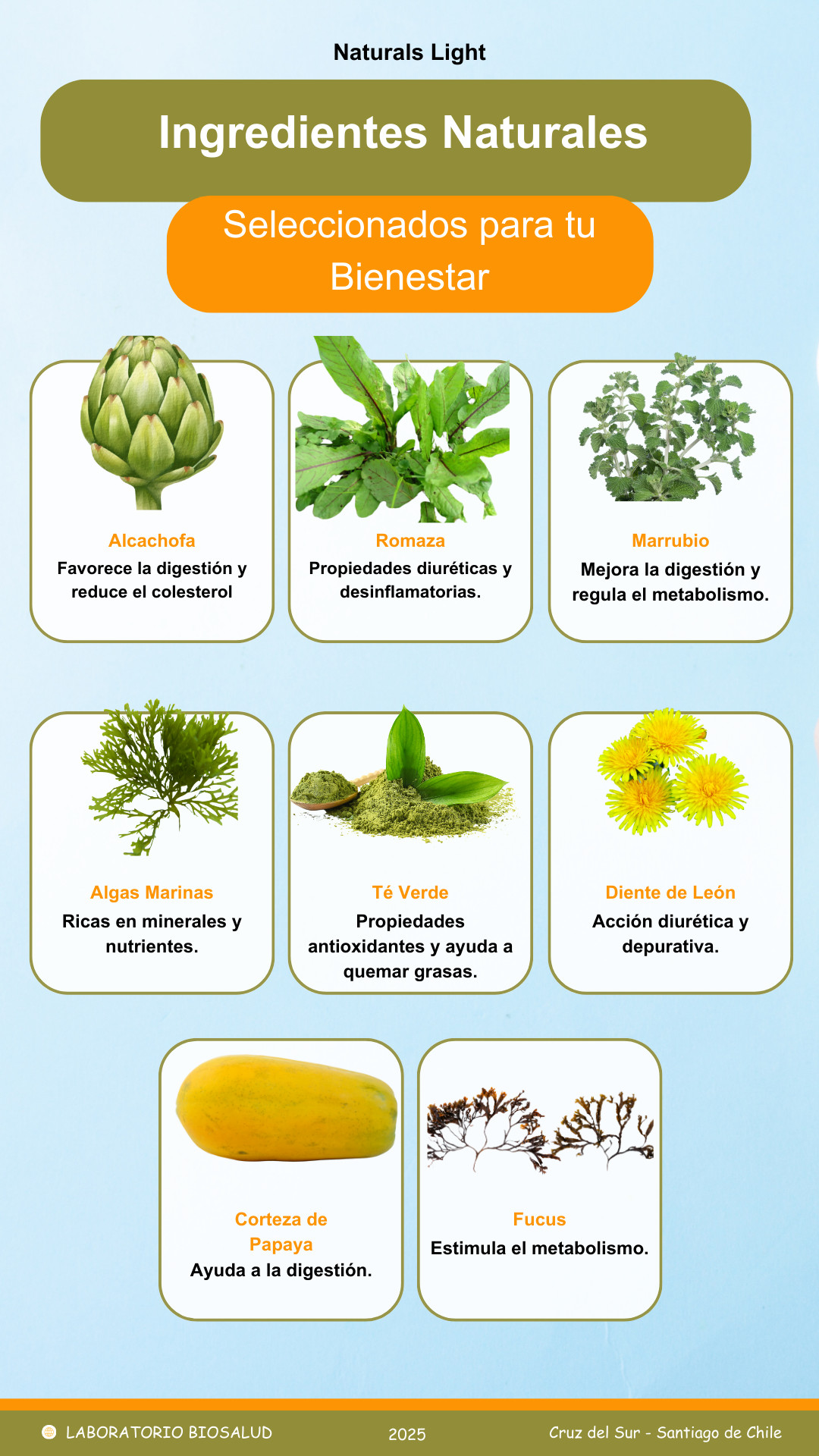 Adelgazante Natural - Naturals Light