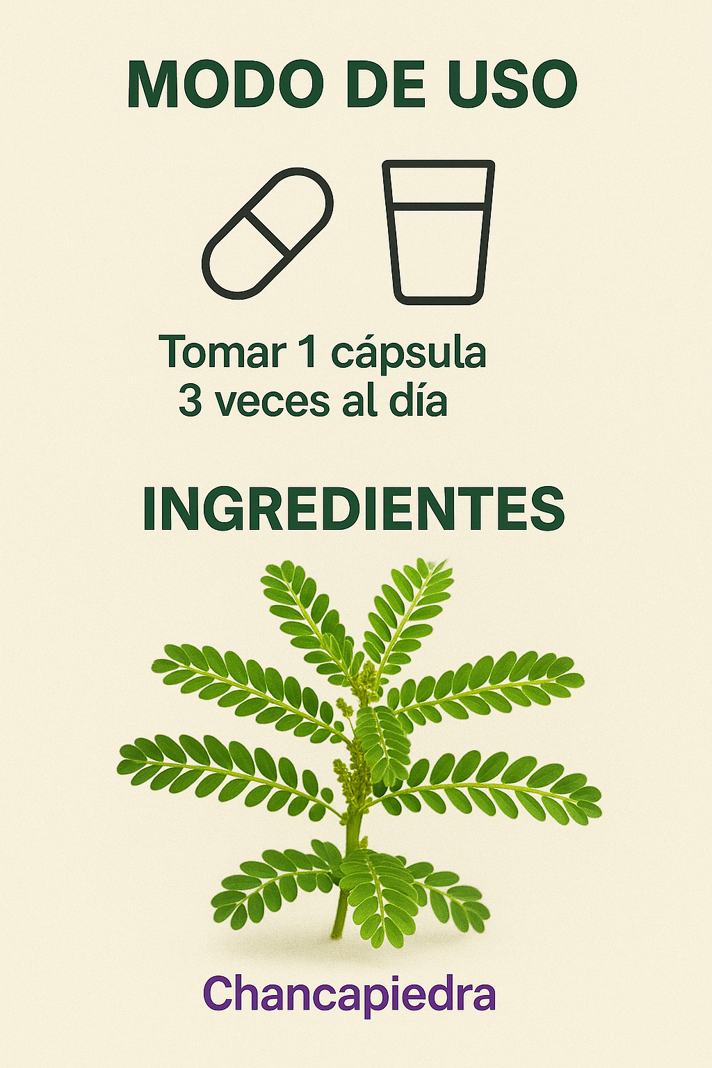 Chancapiedra - Bienestar Renal y Hepático 100% Natural